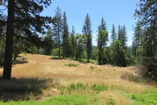 4426 Bald Mountain Rd, West Point, CA 95255 - Photo 14