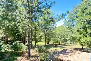 3887 Northwood Dr, Murphys, CA 95247 - Photo 26