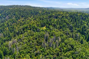 19643 Sages Rd, Nevada City, CA 95959 - Photo 28