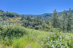 [Address not provided], Pollock Pines, CA 95726 - Photo 24