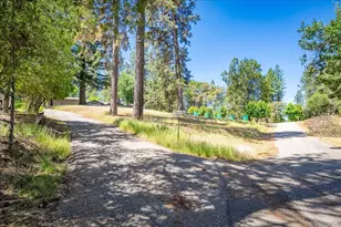 1115 Pine Vista Ln, Meadow Vista, CA 95722 - Photo 44