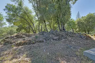 2469 Secret Ravine Trail, Cool, CA 95614 - Photo 50