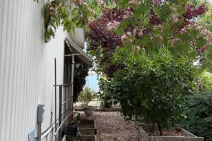Oakwood St, Rocklin, CA 95677 - Photo 18