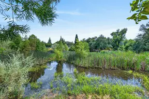 580 Borges Ct, Folsom, CA 95630 - Photo 60