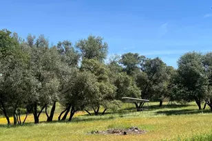7087 Latigo St, Angels Camp, CA 95222 - Photo 60