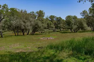 7087 Latigo St, Angels Camp, CA 95222 - Photo 56