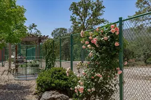 7087 Latigo St, Angels Camp, CA 95222 - Photo 48