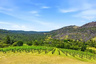 7201 Happy Valley Rd, Somerset, CA 95684 - Photo 2
