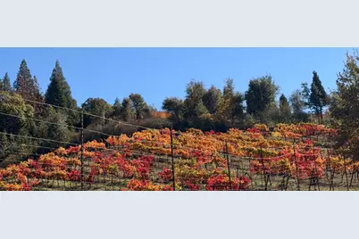 7201 Happy Valley Road, Somerset, CA 95684 - Photo 4