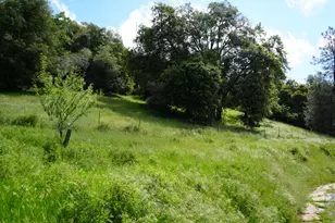 18243 Climax Rd, Jackson, CA 95642 - Photo 10