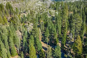 6139 41 Mile Stone Rd, Kyburz, CA 95720 - Photo 86
