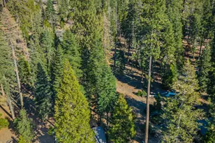 6139 41 Mile Stone Rd, Kyburz, CA 95720 - Photo 88