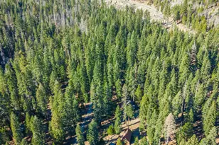 6139 41 Mile Stone Rd, Kyburz, CA 95720 - Photo 74