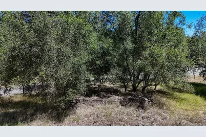 9668 Coburn Court, Browns Valley, CA 95918 - Photo 26