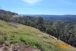 1687 Duden Dr, Placerville, CA 95667 - Photo 1