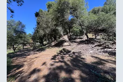 1687 Duden Drive, Placerville, CA 95667 - Photo 12