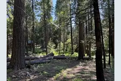 216 Mewko Way, Camp Connell, CA 95223 - Photo 2