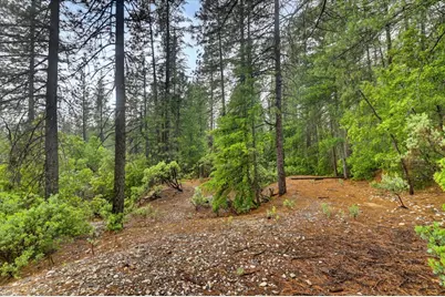 0 13751 Sailor Flat Rd, Nevada City, CA 95959 - Photo 34