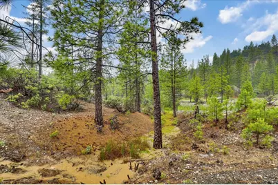 0 13751 Sailor Flat Rd, Nevada City, CA 95959 - Photo 46