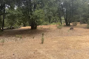 18834 Potternoff Rd, Mokelumne Hill, CA 95245 - Photo 34