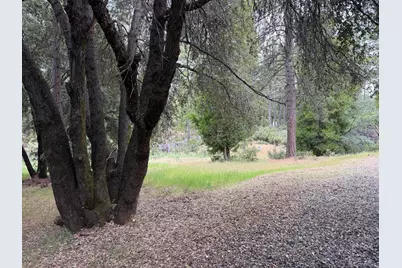18834 Potternoff Road, Mokelumne Hill, CA 95245 - Photo 14