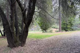 18834 Potternoff Rd, Mokelumne Hill, CA 95245 - Photo 14