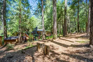 5043 Virginia Bird Mine Ct, Foresthill, CA 95631 - Photo 28