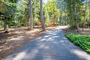 5043 Virginia Bird Mine Ct, Foresthill, CA 95631 - Photo 40