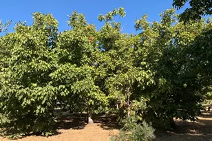 700 Wellsford Rd, Modesto, CA 95357 - Photo 82