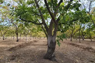 700 Wellsford Rd, Modesto, CA 95357 - Photo 80
