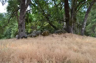 8600 Lodestone Rd, Somerset, CA 95684 - Photo 20