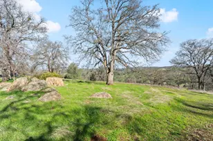 8251 Buffalo Ridge Rd, Ione, CA 95640 - Photo 54