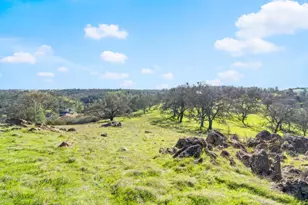 8251 Buffalo Ridge Rd, Ione, CA 95640 - Photo 46