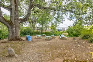 22001 Shenandoah School Rd, Plymouth, CA 95669 - Photo 52