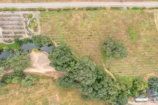 22001 Shenandoah School Rd, Plymouth, CA 95669 - Photo 24