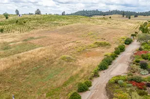 22001 Shenandoah School Rd, Plymouth, CA 95669 - Photo 20