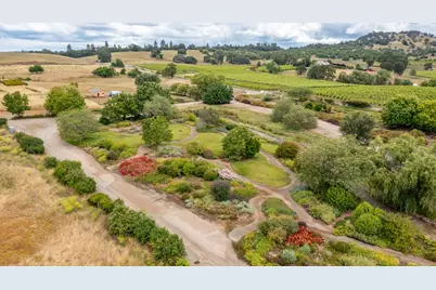 22001 Shenandoah School Road, Plymouth, CA 95669 - Photo 6