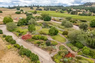 22001 Shenandoah School Rd, Plymouth, CA 95669 - Photo 6