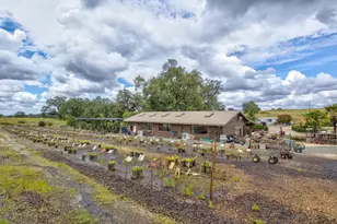 22001 Shenandoah School Rd, Plymouth, CA 95669 - Photo 50