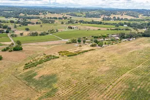 22001 Shenandoah School Rd, Plymouth, CA 95669 - Photo 16