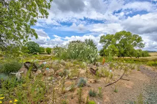 22001 Shenandoah School Rd, Plymouth, CA 95669 - Photo 64