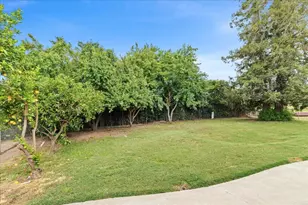 25832 Magnolia Rd, Escalon, CA 95320 - Photo 78