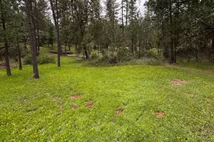 6428 Twin Oaks Ct, Foresthill, CA 95631 - Photo 1