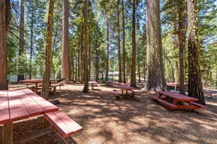 2884 Karock Ct, Dorrington, CA 95223 - Photo 18