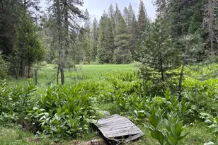2884 Karock Ct, Dorrington, CA 95223 - Photo 4