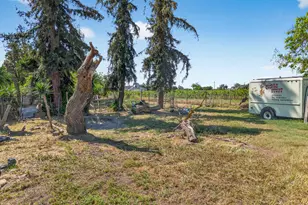 383 Taylor Rd, Lodi, CA 95242 - Photo 18