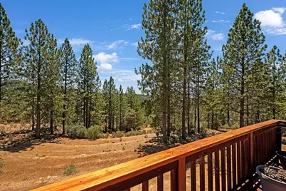 12336 Scott Road, Sheep Ranch, CA 95246 - Photo 56