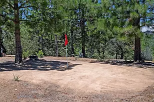 12336 Scott Rd, Sheep Ranch, CA 95246 - Photo 48