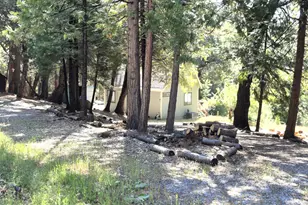 25750 Aspen Ct, Volcano, CA 95689 - Photo 2