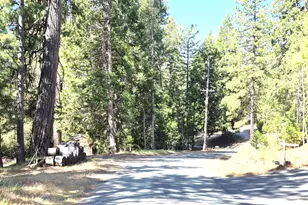 25750 Aspen Ct, Volcano, CA 95689 - Photo 28